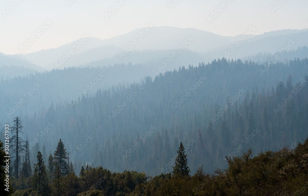 View into the Forest Fire Smoke at Yosemite National Park