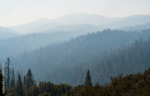 View into the Forest Fire Smoke at Yosemite National Park © Zack Frank