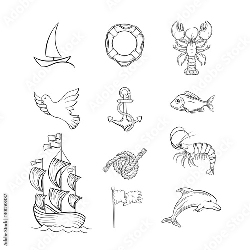 Ocean themed hand drawn illustrations set. Sea fauna and sailing attributes thin line symbols pack. Dolphin, lobster and bird. Marine animals and objects monochrome drawings. Ship, lifebuoy and anchor photo