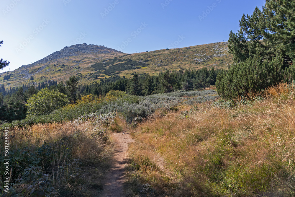 Autumn landscape of Vitosha Mountain, Bulgaria