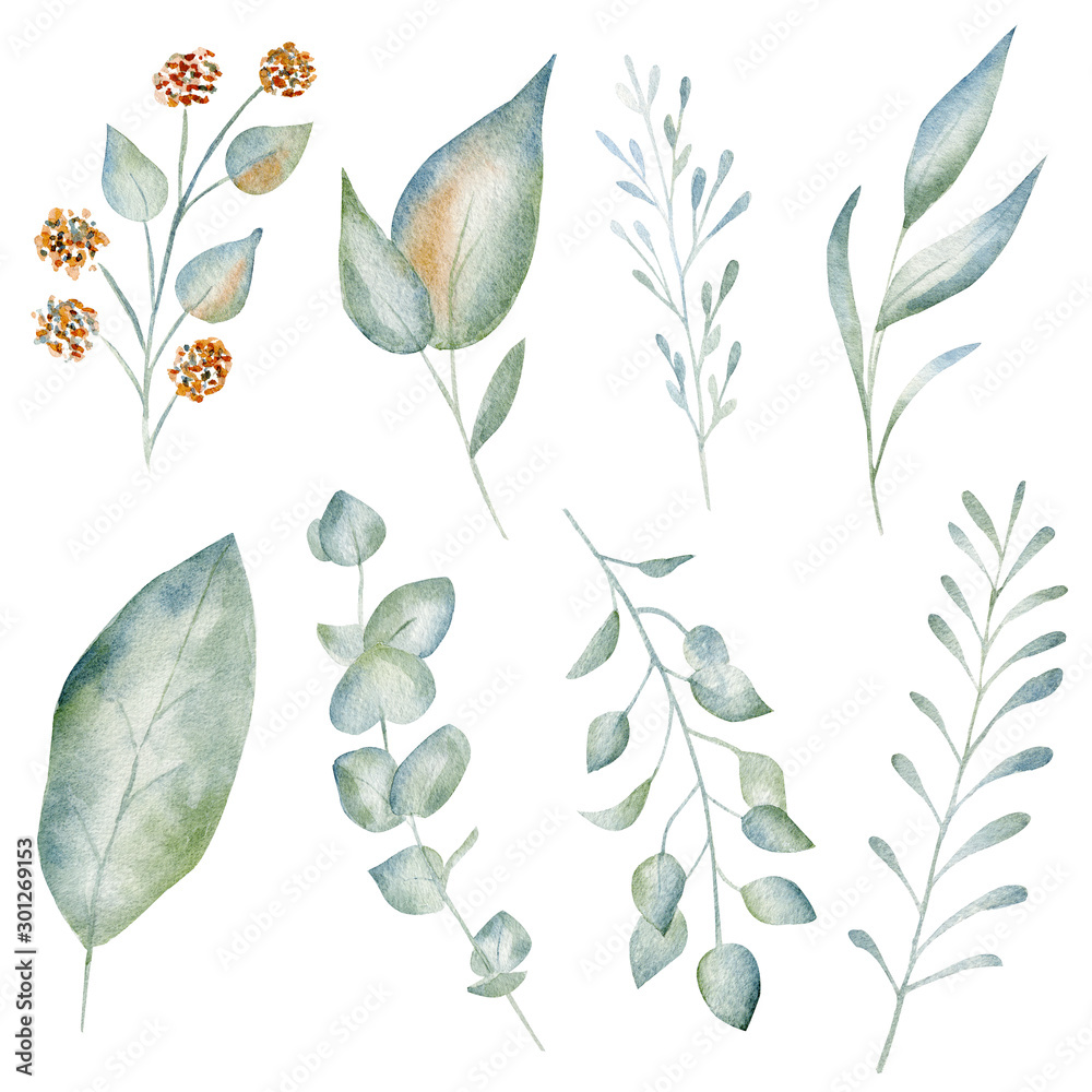 Green leaves and flowers watercolor raster illustration set