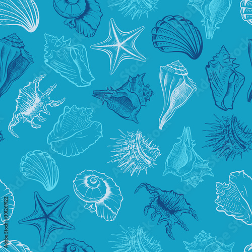 Seashells  scallops vector seamless pattern. Marine life animals colorful drawings on blue background. Sea urchin freehand engraving. Underwater creatures outline. Wallpaper  textile design