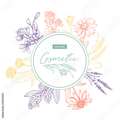 Herbal cosmetics hand drawn vector sticker. Round frame with color wild plants and lettering on white background. Skin care product with bio ingredients label, badge design. Floral border with text