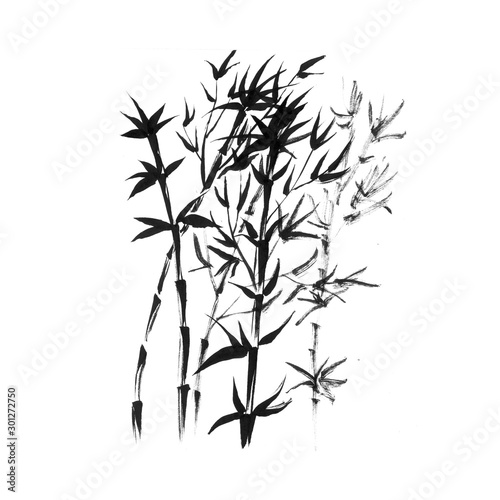 Fototapeta Naklejka Na Ścianę i Meble -  Bamboo stems in Japanese style hand drawn illustration. Branches with leaves traditional Asian black ink drawing. Botanical watercolor minimal design element on white background