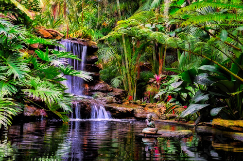Fényképezés Tropical Waterfall