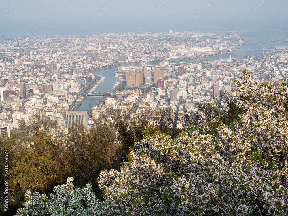 Panoramic view of Tokushima city from the top of Mount Bizan at sunset with cherry trees blooming