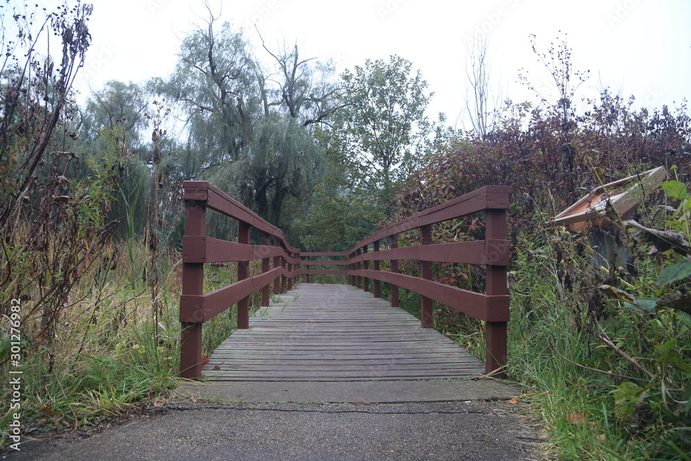 Nature and Bridge Nature and Bridge