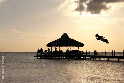 Fényképezés People on an ocean pavilion with a pelican flying by