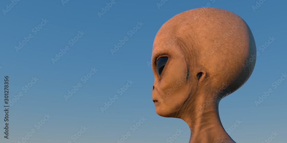 Grey Alien extremely detailed and realistic high resolution 3d ...