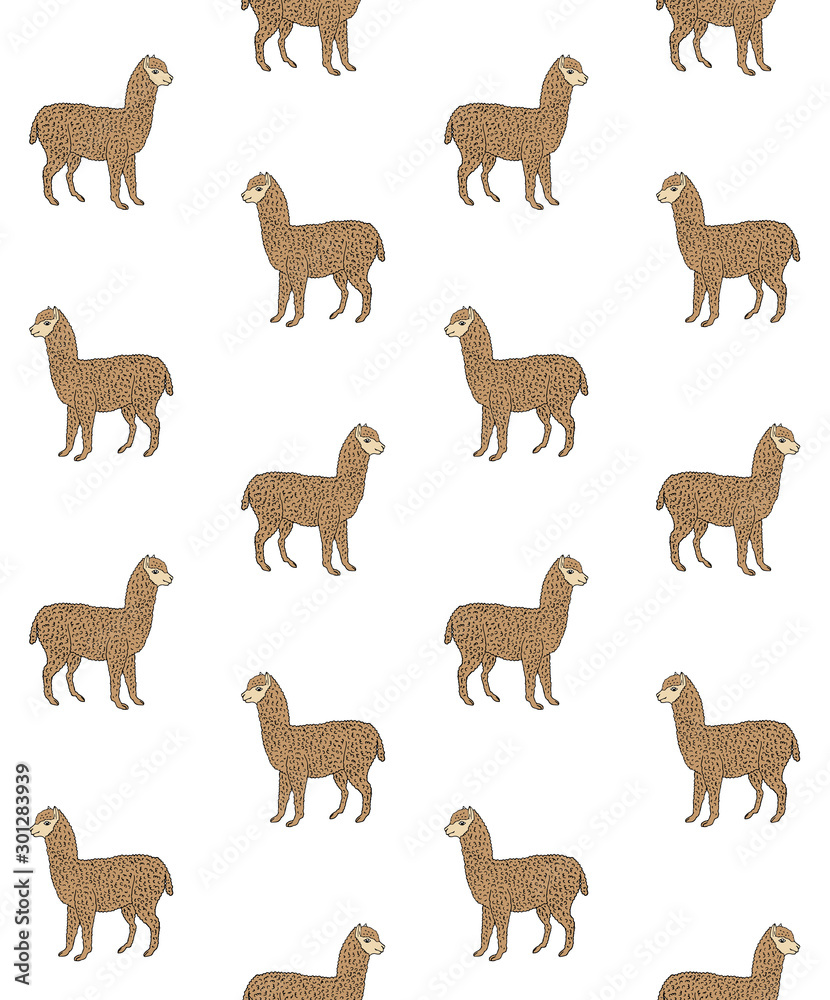 Vector seamless pattern of hand drawn sketch brown alpaca isolated on white background