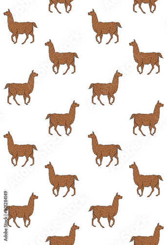Vector seamless pattern of brown hand drawn sketch llama isolated on white background
