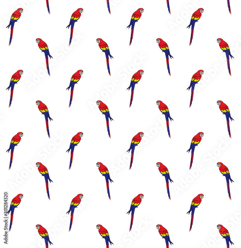 Vector seamless pattern of hand drawn doodle sketch colored macaw parrot isolated on white background