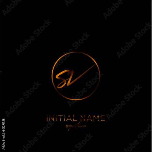 SV Initial handwriting logo vector	