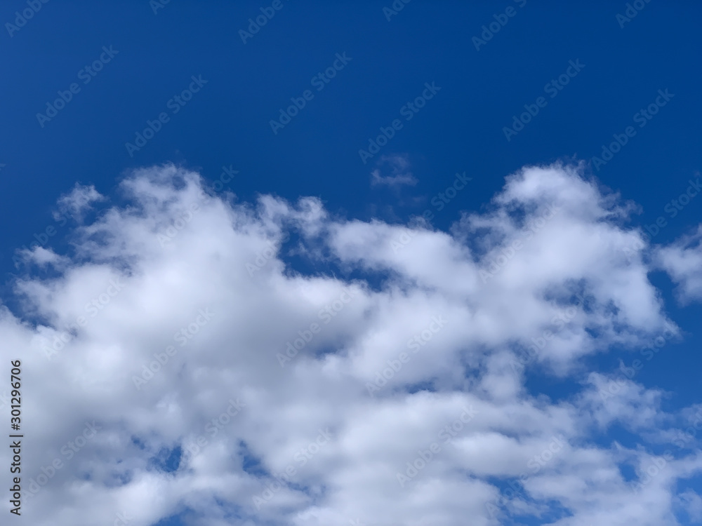 Fototapeta premium 空