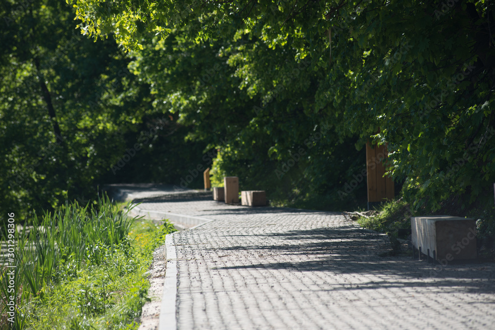 Fototapeta premium Footpath in a summer park among the trees.
