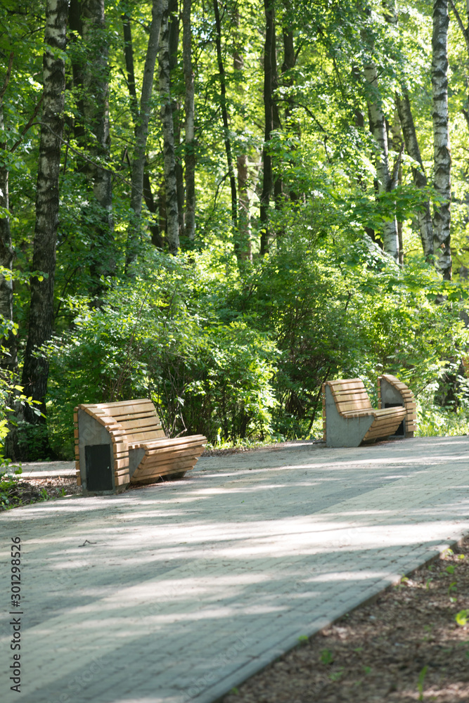 Benches on a pedestrian road in the park on a summer day.