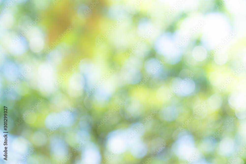 natural green bokeh abstract background,blurred textured