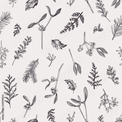 Seamless pattern with leaves, seeds, conifers.