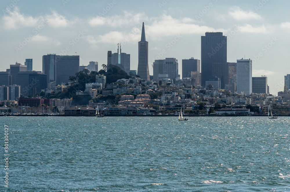 Fototapeta premium San Fran Skyline