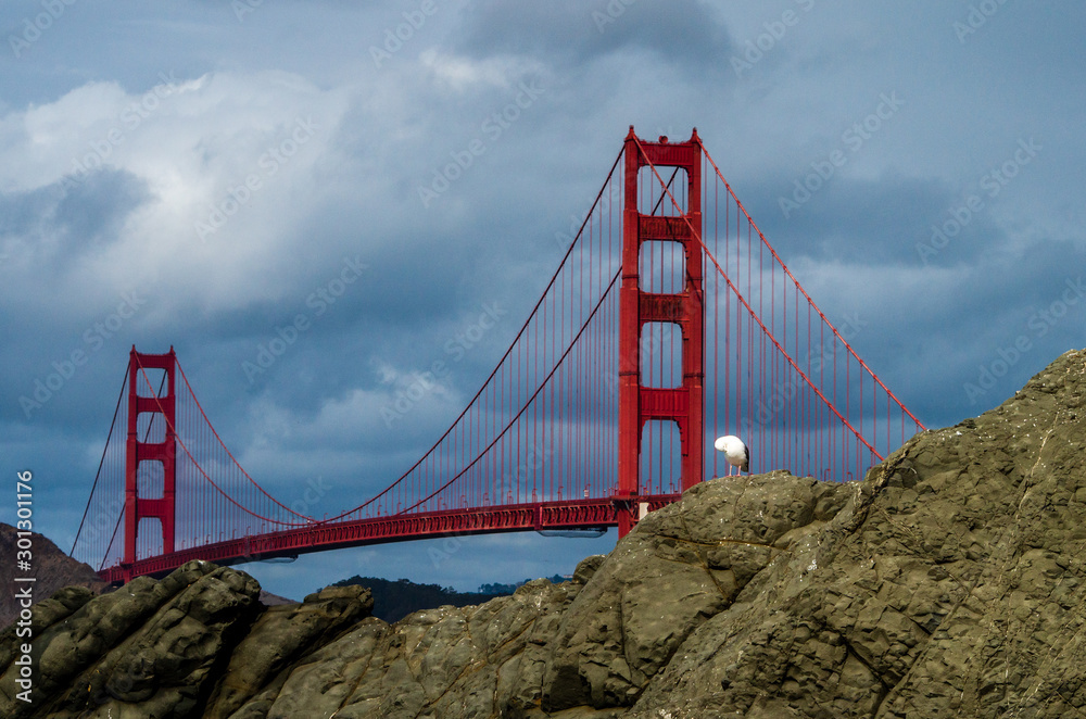 Fototapeta premium golden gate bridge