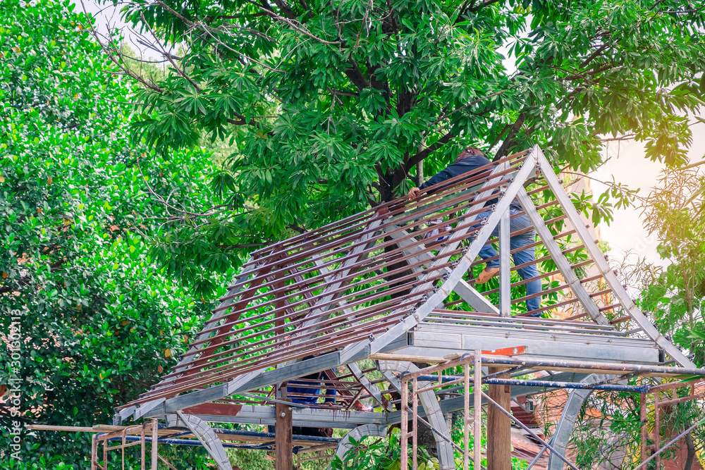 Welder and painter are helping to build a gable roof structure below a large mango tree. Welder and painter are helping to build a gable roof structure below a large mango tree.