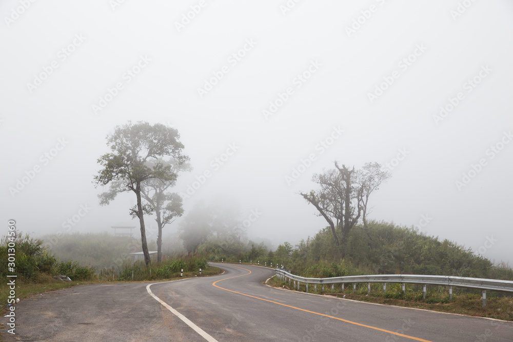 Fototapeta premium local road with fog in the morning