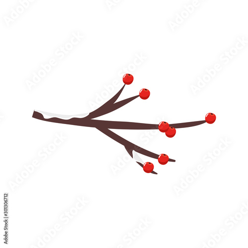 branch with holly fruits traditional christmas isolated icon vector illustration design photo