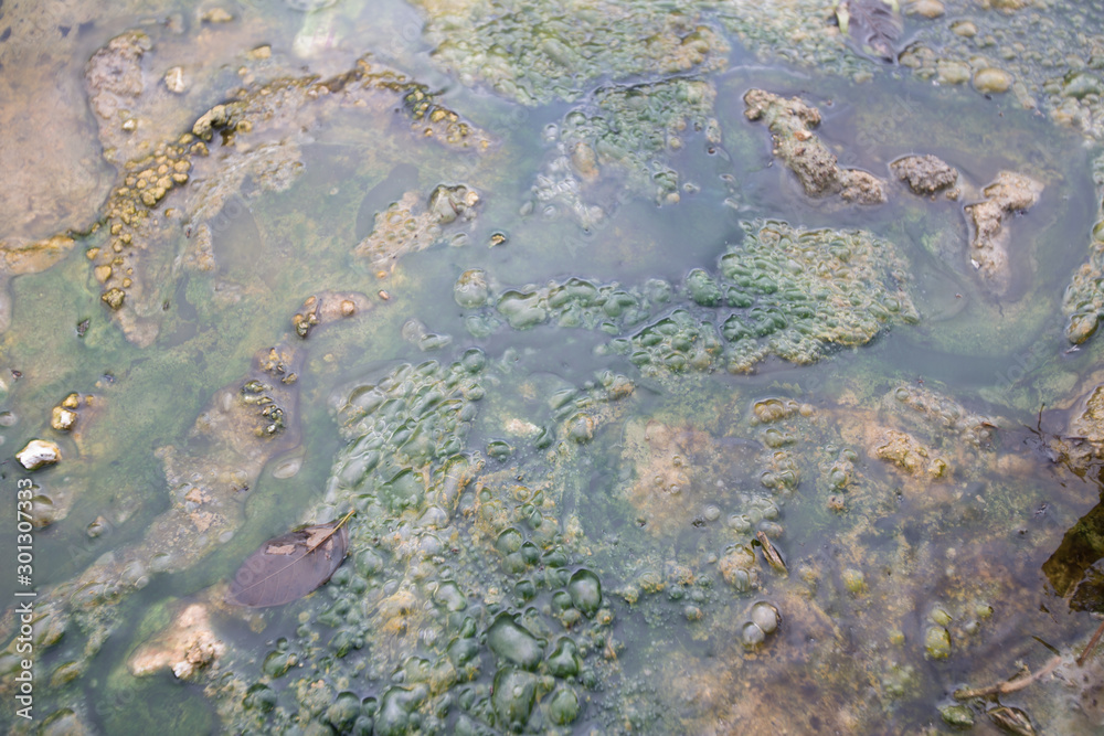 hot spring in thailand