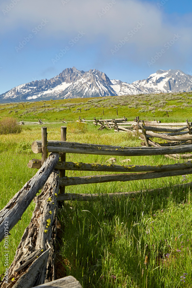 Rustic wood fence snaking through green fields to the snow covered mountains