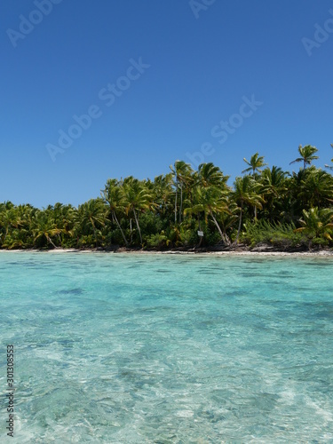 Fototapeta Naklejka Na Ścianę i Meble -  Ile privée lagon et plage barrière de corail récif
