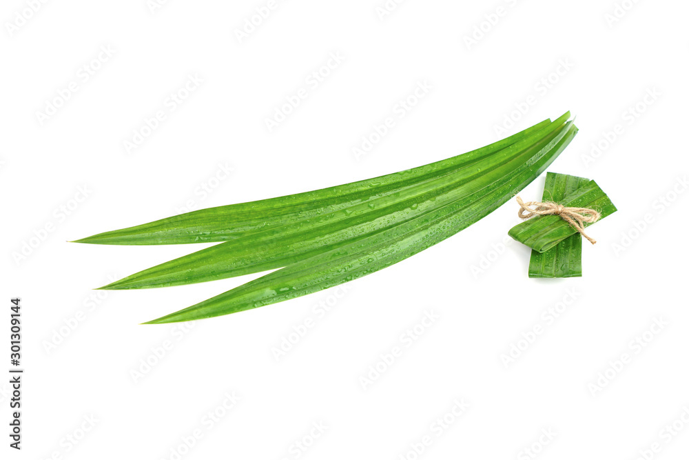 Naklejka premium Fresh green pandan leaves with water droplets isolated on white background with clipping paths.