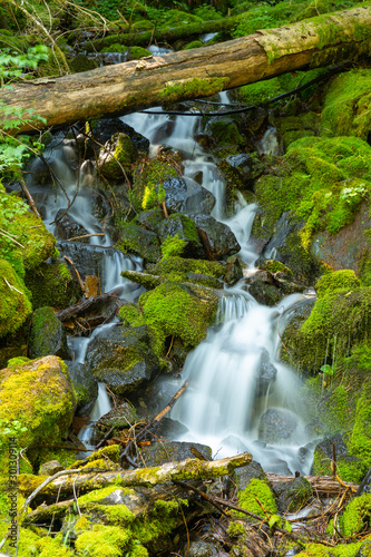 Vertical shot of a small, intimate, idyllic waterfall inside Mt. Rainier National Park, shot from tripod using slow shutter speed to blur the moving water.
