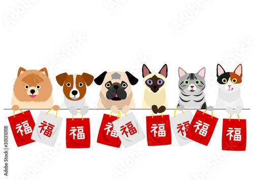 cats and dogs with lucky bags in a row