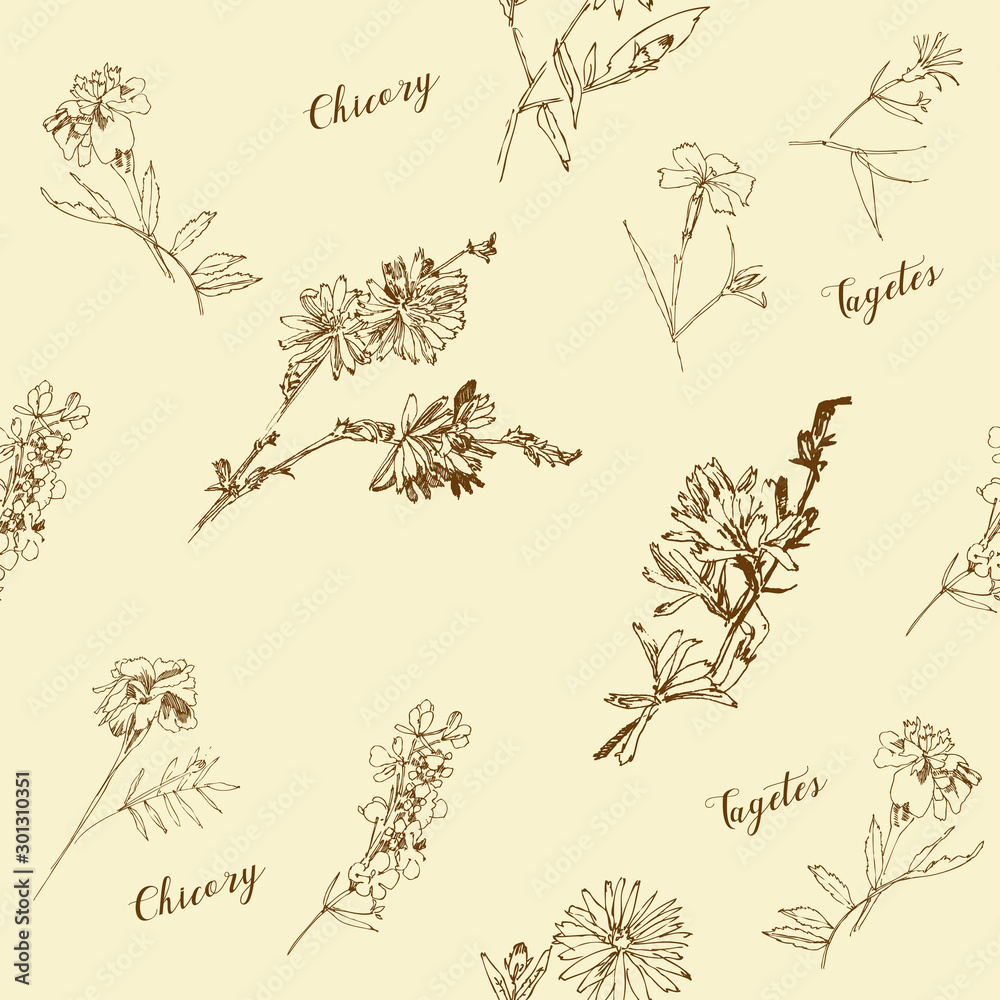 Fototapeta premium Seamless pattern with Wild Flowers with Summer Botanical Sketches