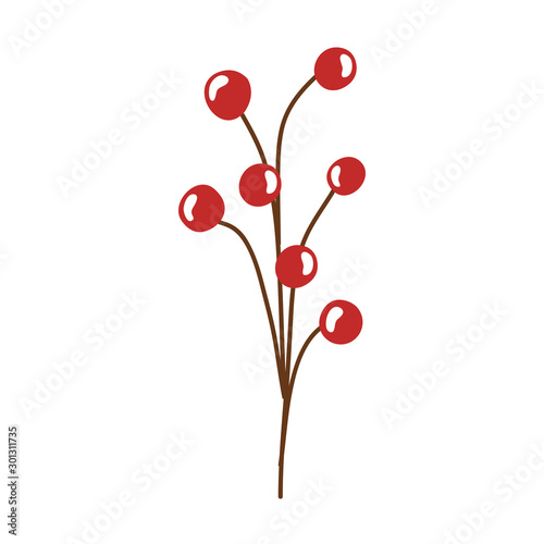 branch with holly fruits traditional christmas isolated icon vector illustration design