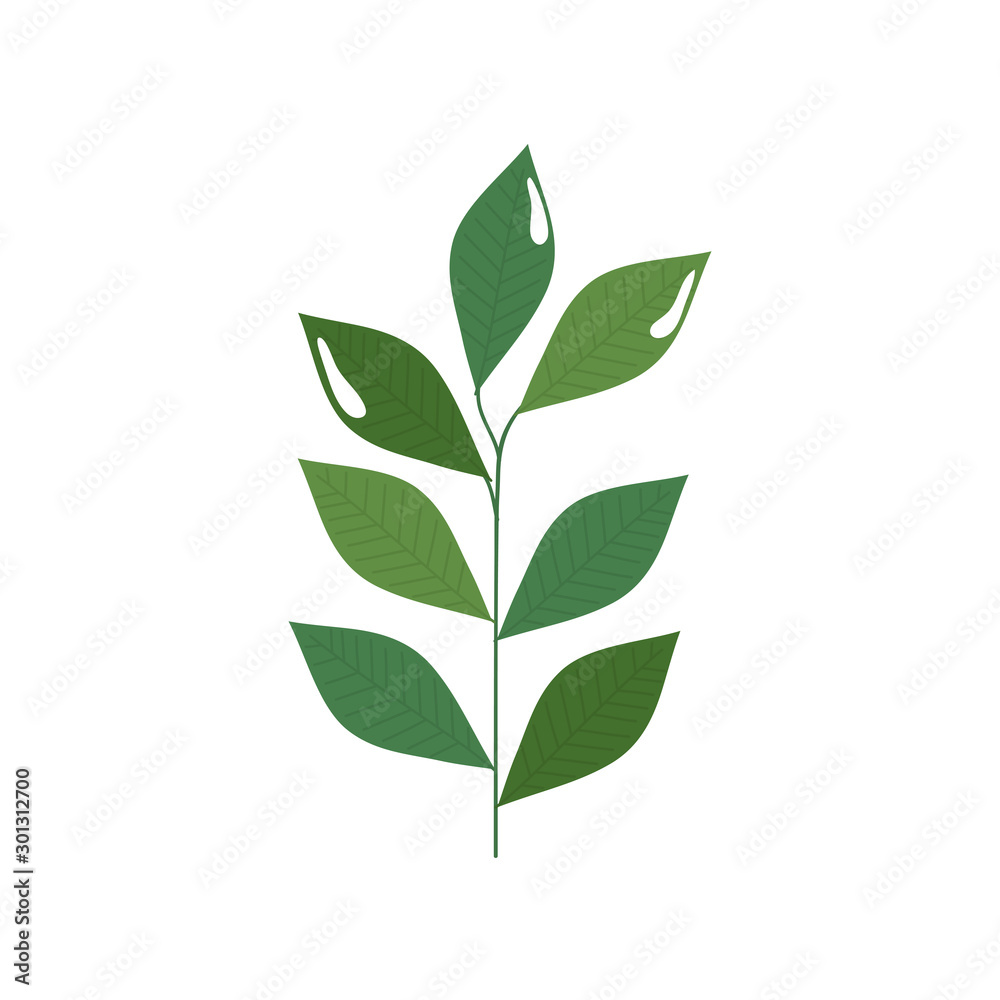 branch with leafs nature ecology isolated icon vector illustration design