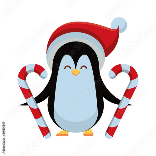 cute penguin with christmas hat and canes