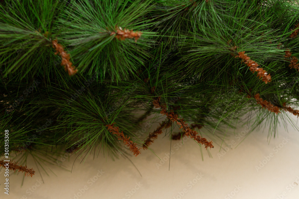 Artificial  christmas tree. Spruce branch 