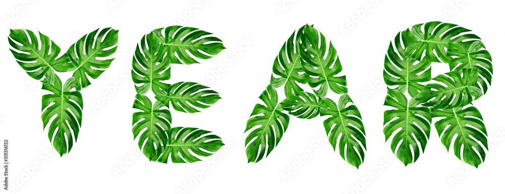Obraz word year spelled with leaf monstera isolated on white background