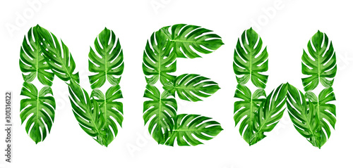 word new spelled with leaf monstera isolated on white background