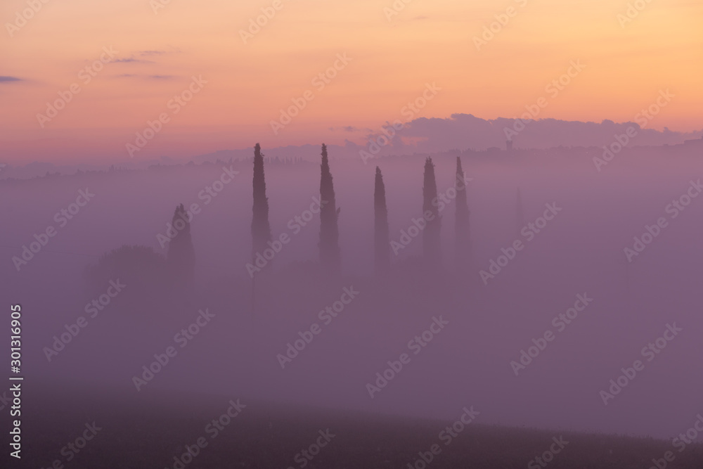 Podere Belvedere Tuscany Italy