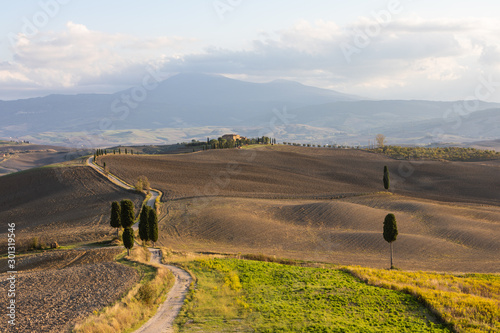 Il Gladiatore Tuscany Val d´orcia Italy
