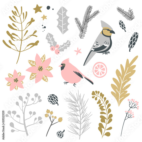 Collection of Christmas decorative elements - plants, branches, birds.