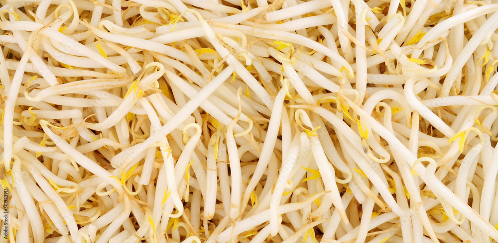Fresh raw healthy fresh beansprout background Fresh raw healthy fresh beansprout background