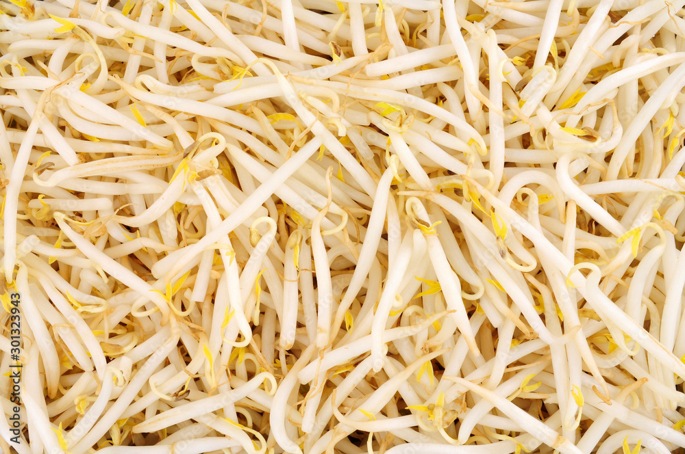 Fresh raw healthy fresh beansprout background Fresh raw healthy fresh beansprout background