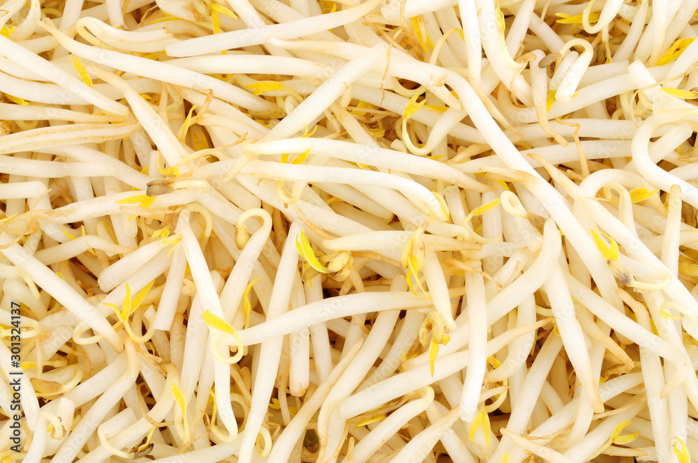 Fresh raw healthy fresh beansprout background Fresh raw healthy fresh beansprout background
