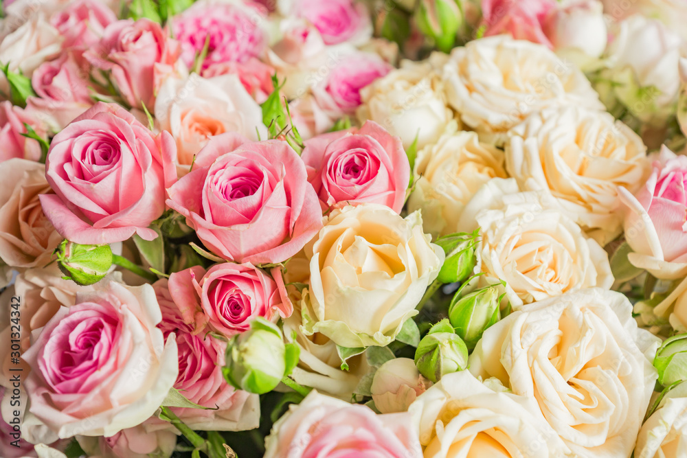A bouquet of pink and white roses. Floral pattern. A bouquet of pink and white roses. Floral pattern.