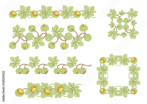 Huzelnut color illustration In art nouveau style, vintage, old, retro style. Vector illustration.