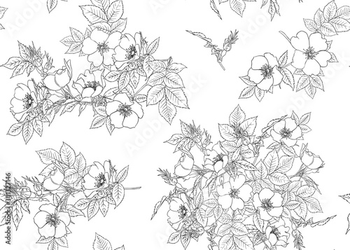 Seamless pattern, background with dog-rose, briar, brier, eglantine, canker-rose . Template for wedding invitation, greeting card, gift voucher. Graphic outline drawing, Vector illustration.