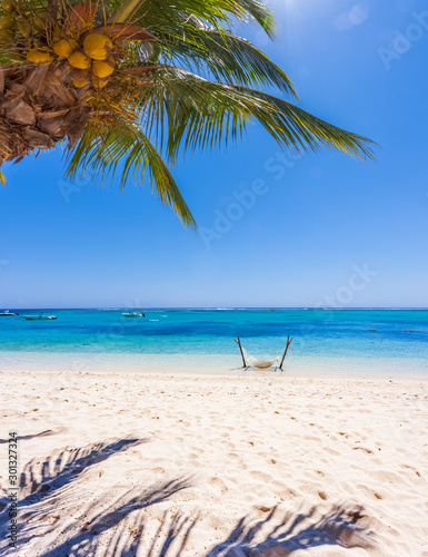 Fototapeta Naklejka Na Ścianę i Meble -  tropical beach with palm trees, Morne Brabant, Mauritius 